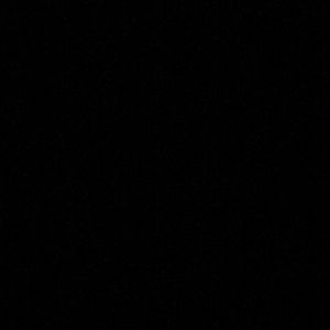 Meet your Posher, Brooklyn